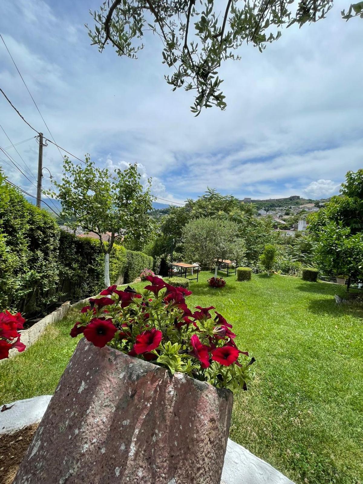 Gjirokastër Ilvi Guesthouse מראה חיצוני תמונה